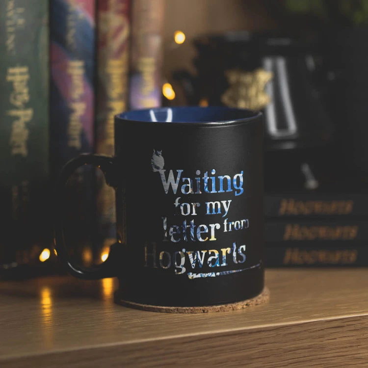 harry-potter-magiczny-kubek-welcome-to-hogwarts-back-pottermania.pl.jpg