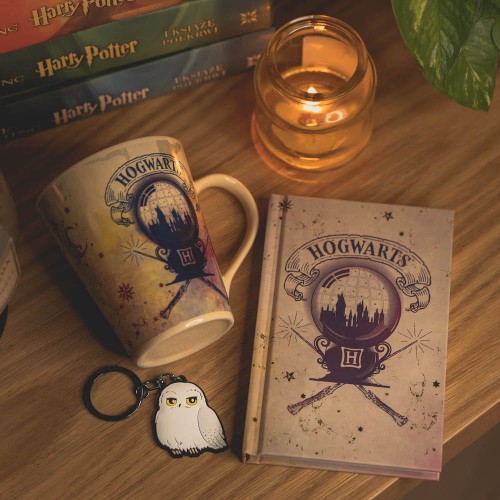 harry-potter-zestaw-prezentowy-napój-miłosny-back-pottermania.pl.jpg